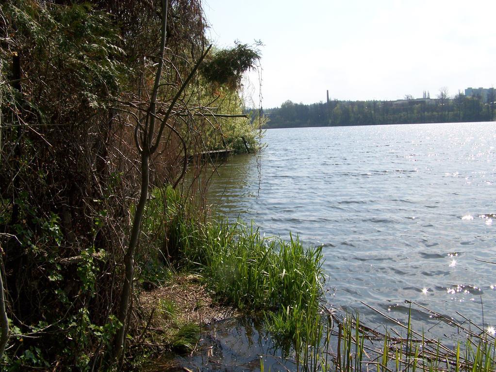 Studio Jindřichŭv Hradec Exteriör bild